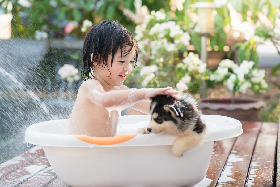 犬とお風呂に入る男の子