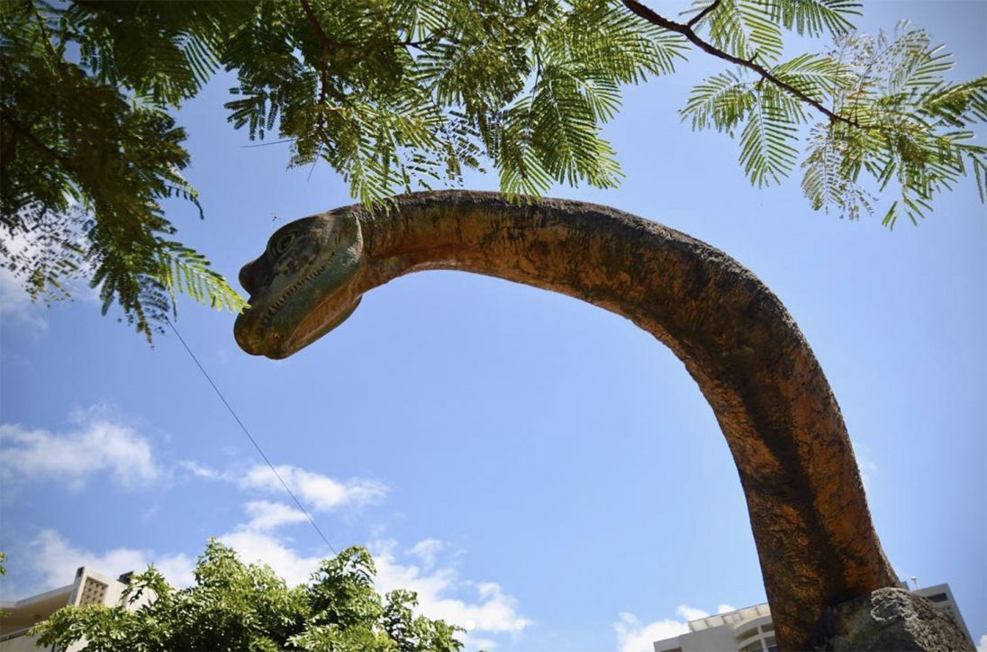 沖縄で恐竜発見 恐竜を見ることのできる公園 施設を紹介します Ryukyu